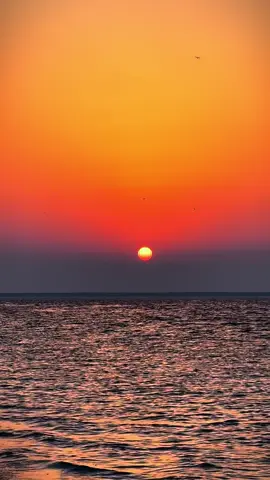 #sunset #sunsetlover #sunsetbeach #foryoupage❤️❤️ 