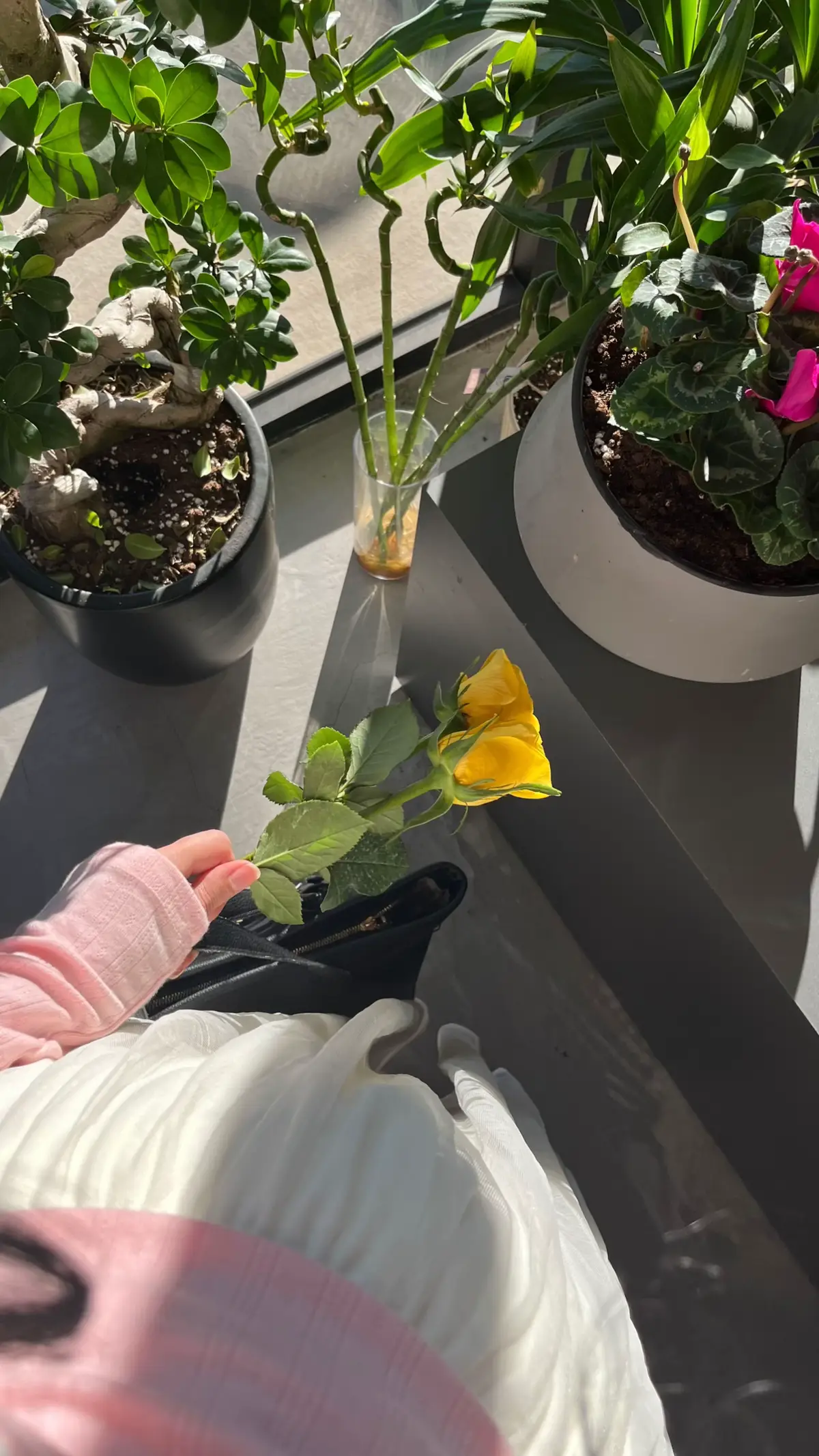 #Love #birthday #beautiful #dayinmylife #enjoying 