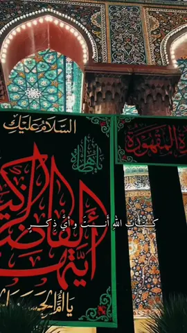 كتاب الله انتَ وأيٌ ذكرٍ#محمد_الحرزي #فاطمة_الزهراء #fyp 