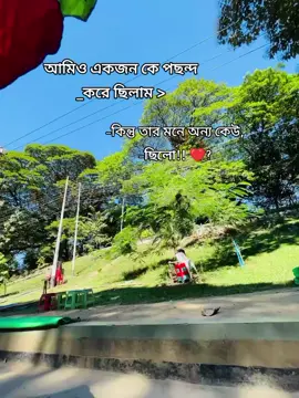 আমিও একজন কে পছন্দ করে ছিলাম >কিন্তু তার মনে অন্য কেউ ছিলো।।❤️‍🩹 #tiktok #viralvideo #foryou 