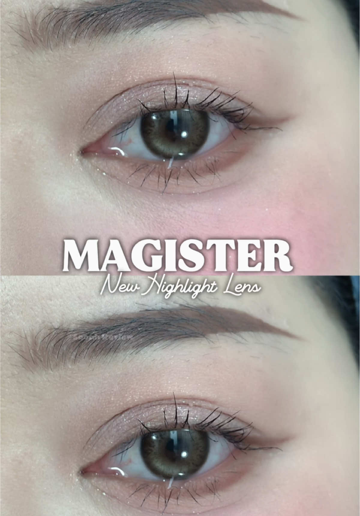 Shadow Gray vs Buff Brown, lens nhà Magister nhóoooo #sooahreview #magister #lensdep #shadowgray #buffbrown 