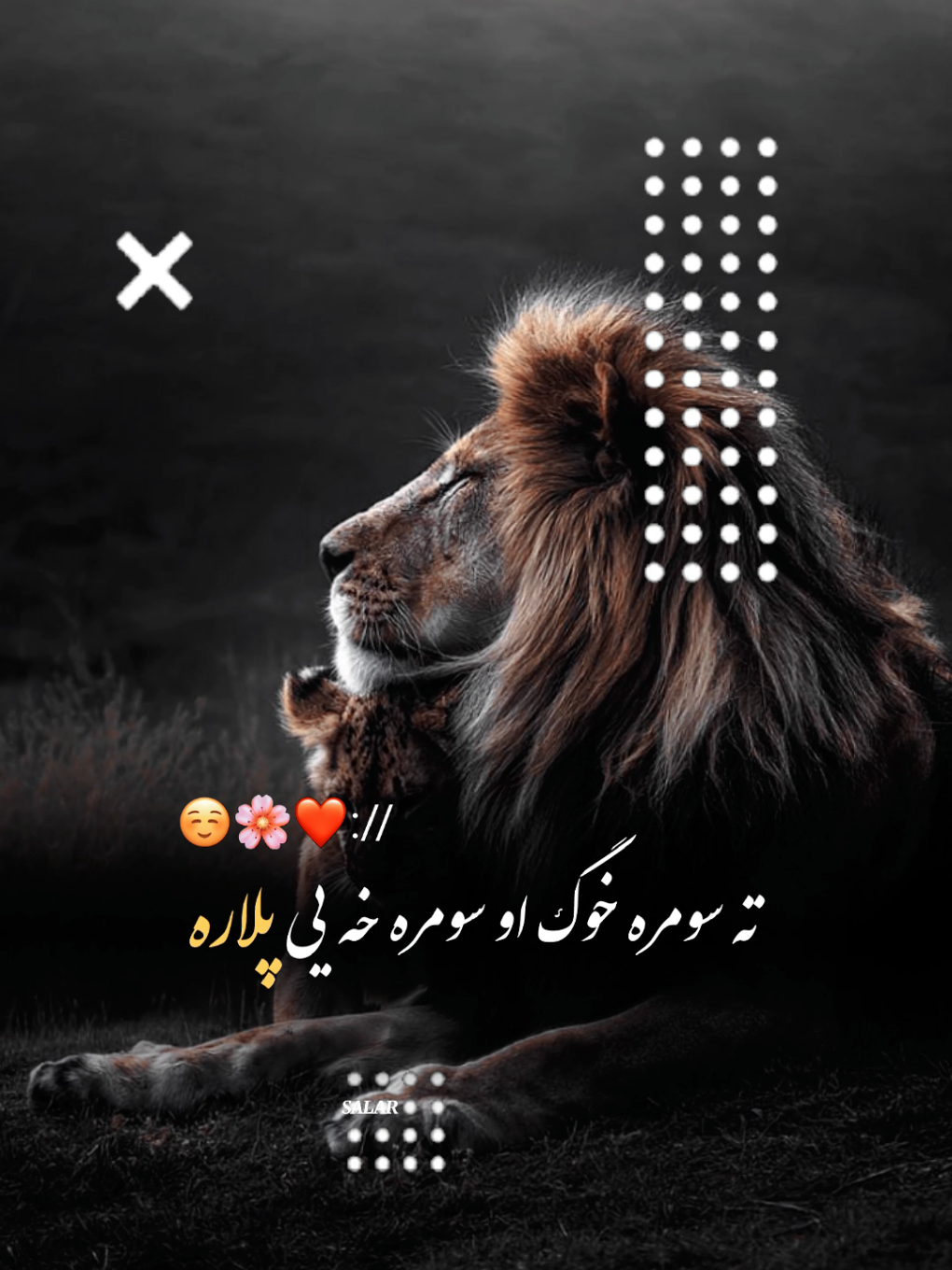 #CapCut ته خو تی پلاره☺️🌸❤ #تمپلیت_جدید #رپ_پشتو_رپ_فارسی_اهنگ_افغانی_اهنگ_پشتو_اهنگ_فارسی_اهنگ_عاشقانه #creatorsearchinsights #oo__3salar_afg 