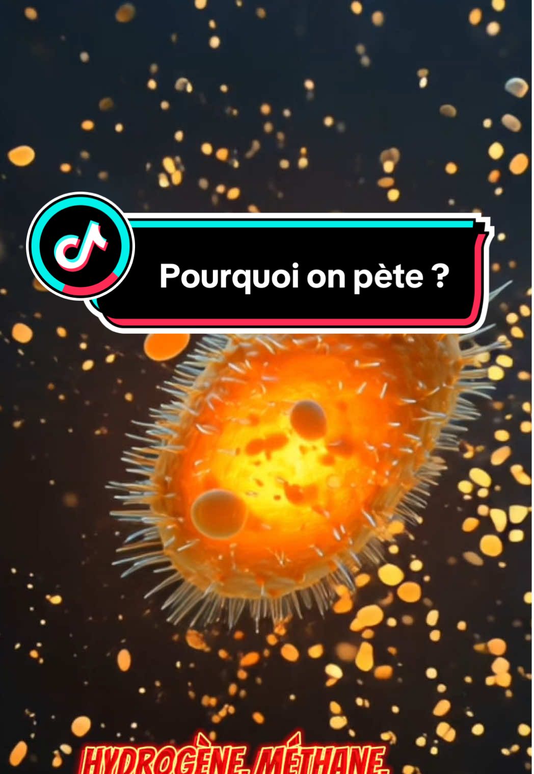 Pourquoi on pète ? #apprendresurtiktok #gaz #pourquoi #bienêtre #odeur 