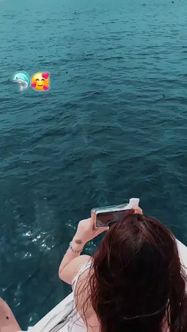 ,🐬🐬🐬🐬#📸🗿😎💣🥷 #@(˚₊· ͟͟͞͞➳❥.নষ্ট কবি.✧) @🇧🇩J̶I̶B̶O̶N̶🇲🇻 @ariyanfaisal39  @Ismail Rifgee🇲🇻 