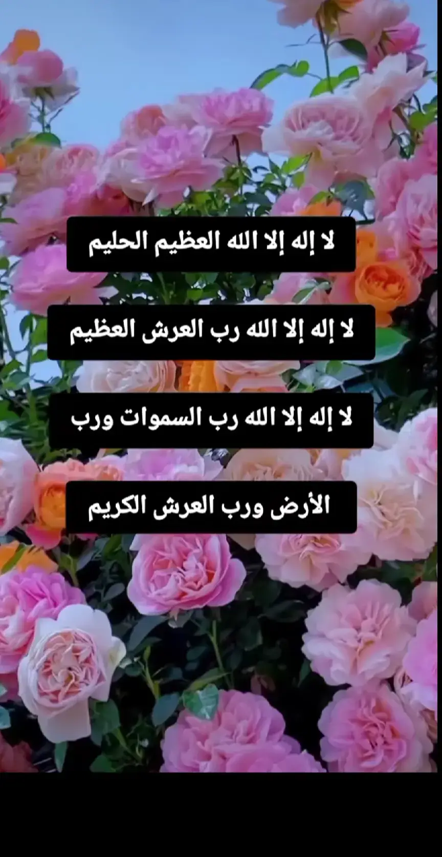 #🤲🤲🤲🕌🕌🕌🕋🕋।। 