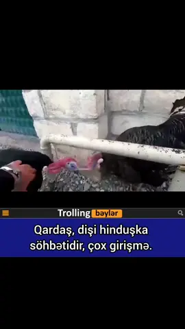 #fypシ #kesfetteyiz #fypage #fyp #kesfet 