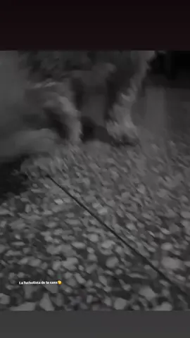 #fyp #fyppppppppppppppppppppppp #parati #maradona 