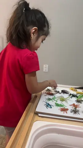 Two things Cielo loves, counting & insects! #aprendiendoconcielo #bilingual #homeschooling #counting #prek 