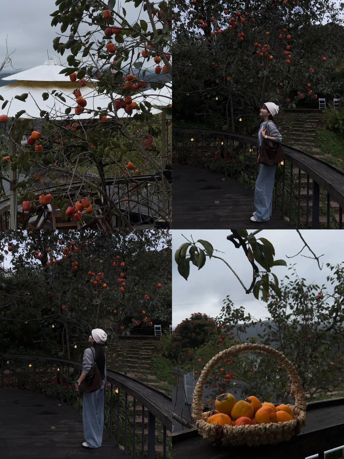 #dalat #visualdiary #dayinmylife #digitaldiaries #fyp 