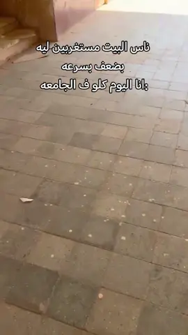 #يوميات #الجامعة #جامعة_وادي_النيل_كلية_الاقتصاد #الشعب_الصيني_ماله_حل😂😂 