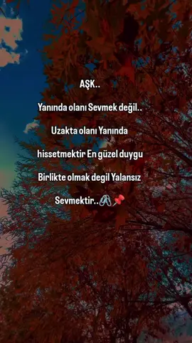 @🍂Tokat🍂60🍂 