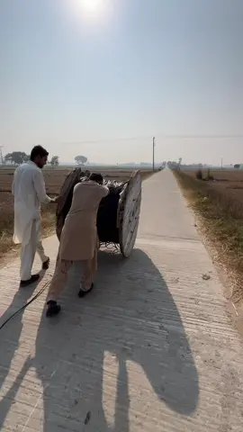 Main Fiber Hanging #internet #nbb #cybernet #vsol #sialkot 