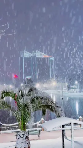 #setif #سطيف_العالي_ٱخاالي #ثلوج #fyp #viraltiktok 