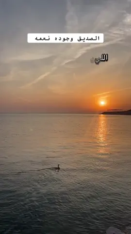 #الصديق_الحقيقي_لايتعوض #اكسبلورررررررررررررررررررر💥🌟💥🌟💥💥🌟🌟🌟🌟🌟 