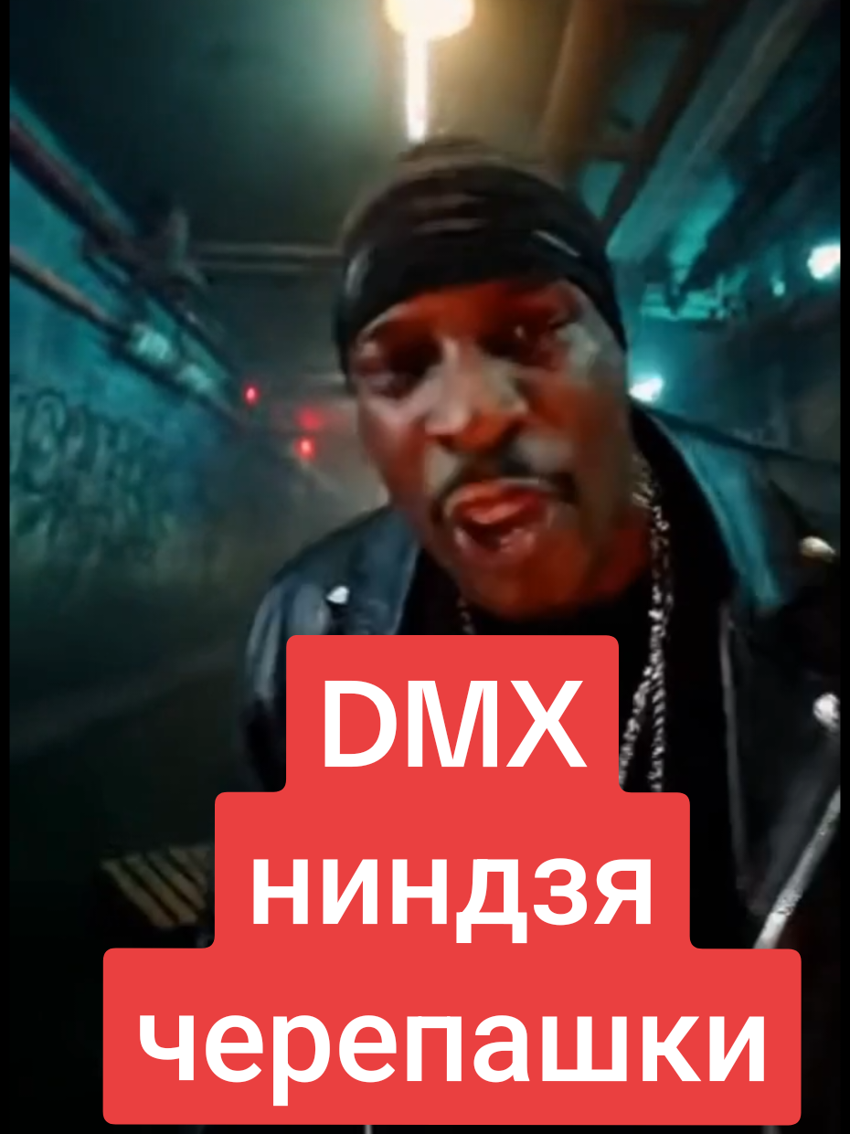 DMX - Ниндзя Черепашки  #tmnt #dmx #черепашкининдзя #rapping #viral 
