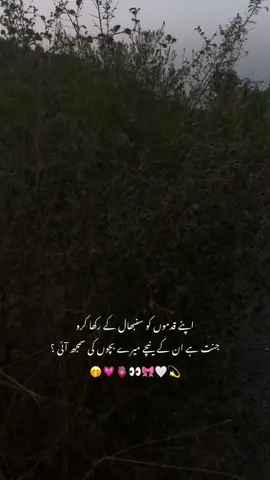 جنت ہے ان کے نیچے میرے بچوں کی سمجھ آئی ؟🤭💗