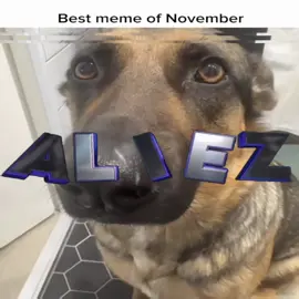 Say you swear | #aibaby #meme #novembermeme #babymeme #fyp 