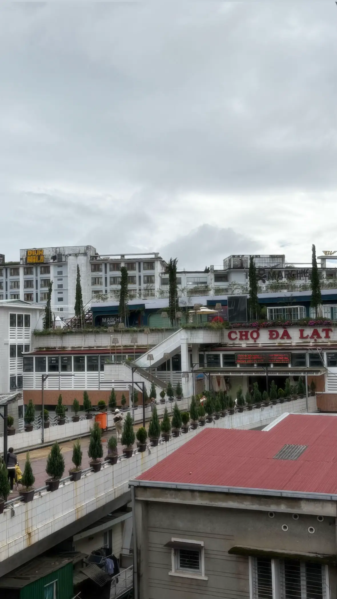 #fyp #xh #tiktok #dalat 