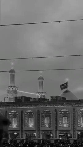 يَابـو عَلي مِحـتاجَك ! #مسلم_الوائلي #ياعلي_مولا_عَلَيہِ_السّلام #بناء_قبر_الامام_الحسن_مطلبنا #الامام_علي #fypシ゚ 