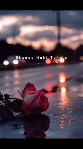 Ehsaas Nahi Tujhko Main Pyar karun kitna..( You have no idea how much I love you)🥺💕💕💕💕🌸💖🦋❤️ #foryou #fyp #hindisong #lovesong #vyp 