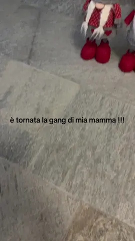 ho dovuto pettinargli la barba…