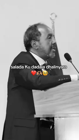 salada Ku dadala #viral_video #xamarcadey #dalxoreye🦁 #foryoupage❤️❤️ #somaliticktokers🇸🇴🇸🇴 