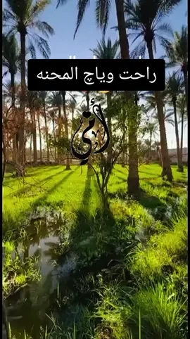 #فراق_شخص_تشتاق_له_كل_دقيقه💔🚶🏻‍♀️  #كسرتنه_الچبيرة💔  #امي  #رحمك_الله_يا_فقيدة_قلبي😭💔 