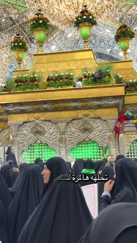 #ياابو_فاضل_عباس🕊️🤍😔