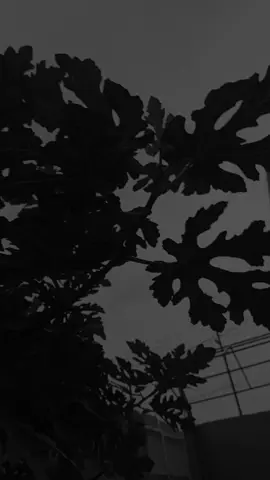 حمل ما شالته جبال #حزن #لطميه 