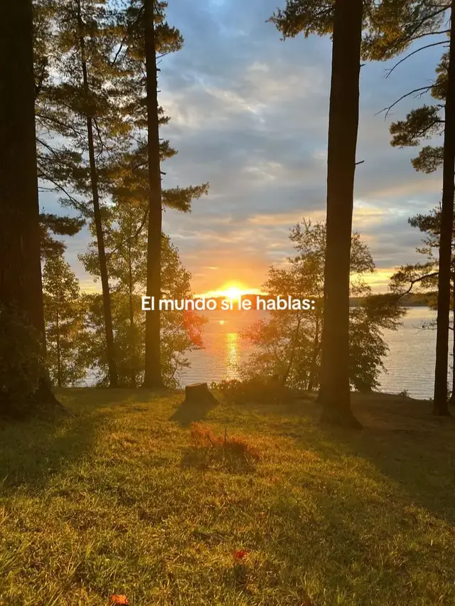 ❤️‍🩹 #fypシ゚ #parativiraltiktok #reflexion #viraltiktok 