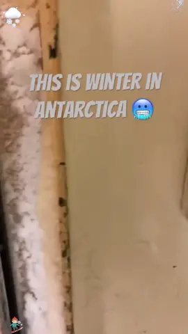 THIS is Winter in Antarctica 🥶🌨 #winter #severeweather #extreme #coldweather #for 