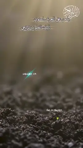 #دعاء_خشوع#دعاء_مستجاب#ذكر_وقران#مناجاة_الليل#اللهم_آمين