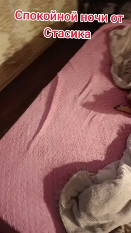 ##такса #стасик #молдова🇲🇩 #стасипякия #carlosdrims 