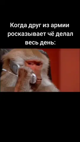подпишись и поставь лайк  #мемы #рек #армия #стим #игры #жиза #mem #xyzbca #fyp 