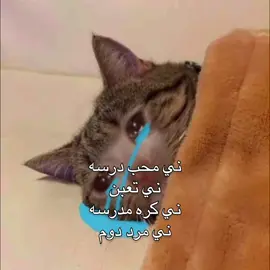 😭😭😭💔#viral #2025 #اكره_المدرسه #اكره_الدراسه #study study