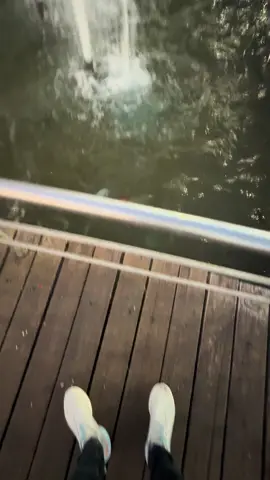 #شعب_الصيني_ماله_حل😂😂 #اربيل_دهوك_سليمانية_كركوك_بغداد #اربيل_العراق_كوردستان🇹🇯 ##اربيل_دهوك_سليمانيه 