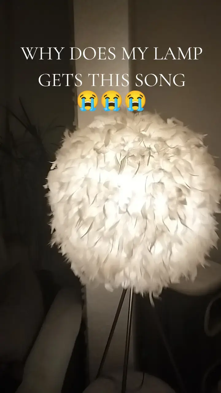#bro #why #my #lamp 