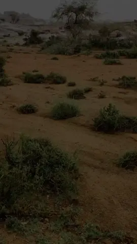 #إسلاميات #نصائح #دعاء #التقويم_اليومي 