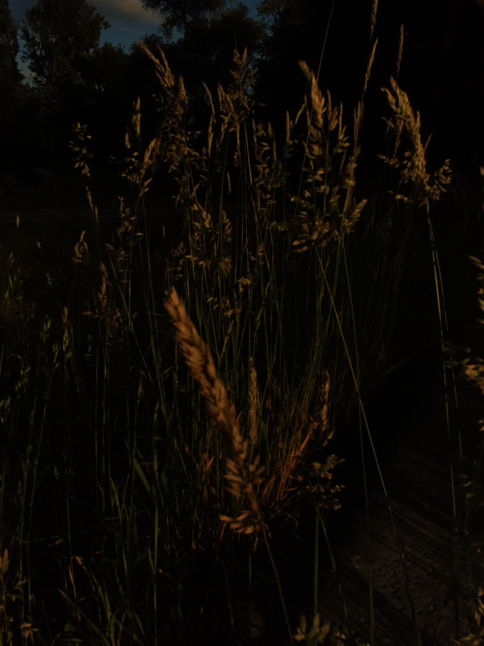 Дотик словами