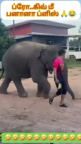 இதைத்தான் சொல்லுவாங்க டா ஓனர் உன் கைக்கு ஏற்றது என் வாய்  🤣🤣