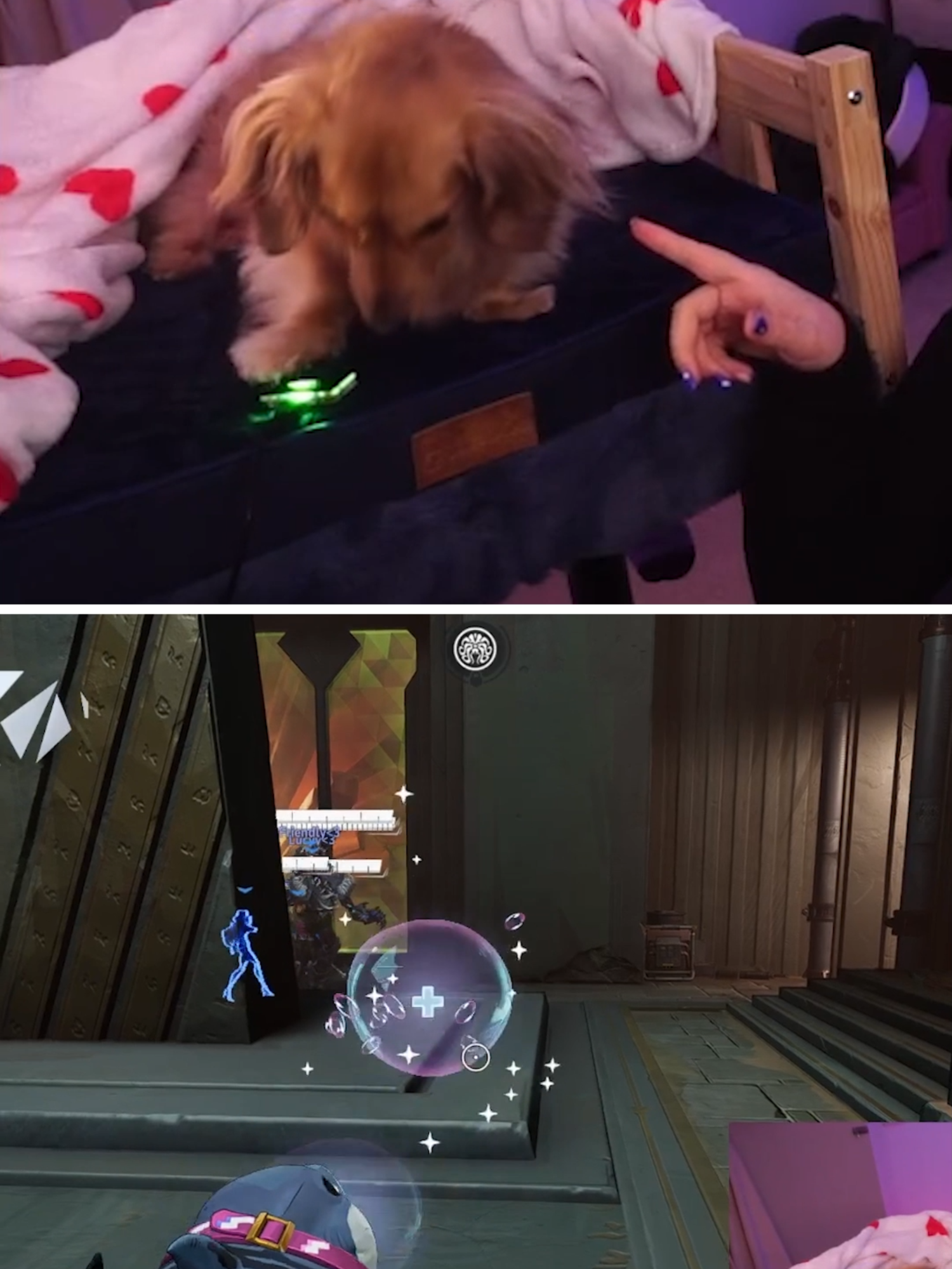 Pea is the BEST Marvel Rivals healer 😭 #dachshund #minidachshund #pea #dogsoftiktok #dog #cutedog #fyp