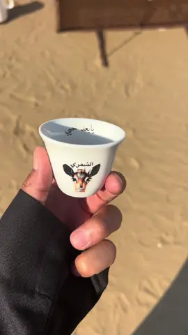 #تصويري📸اكسبلوور #العراق🇮🇶❤️ #شمر #الاسلم🔥 