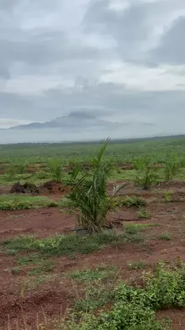 hari hari dapat tengok view gunung 🥰 pagi je dapat hirup udara segar , tengahari sampai ke petang udara kotor sebab habuk tanah merah merata 😆 #fyppppppppppppppppppppppp #mintakorangvideo #gunungledangjohor 