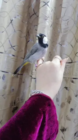 ‏لا بأس إن خذلتك الحياة مرة فأنت أيضا خذلت نفسك كثيراً بسوء اختياراتك ••🖤🥀💔🕊🕊