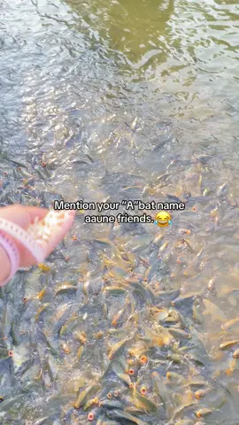 #foryoupage❤️❤️ #goviral #newtrend #tiktoknews 