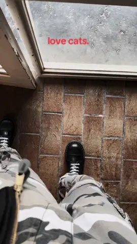 #fyp#skinhed#catlover 