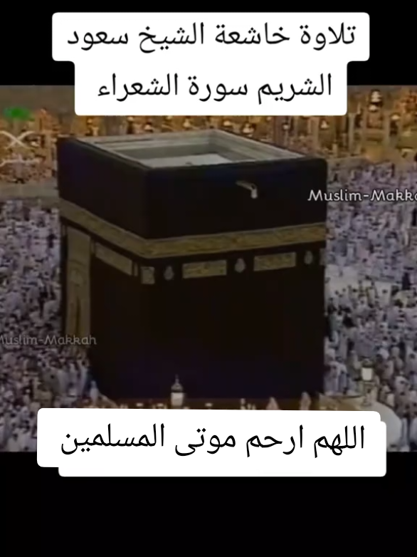 #سعود_الشريم #تلاوة_خاشعة #اللهم_اجعل_القران_ربيع_قلوبنا🍃💚🕊️ #سورة_الشعراء #الحرم_المكي 