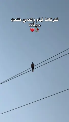 فكرناها أيام وتعدي طلعت حياتنا#عبرات_من_القلب💔💔 