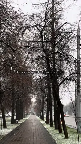 Вот и до Бреста добралась зима❄️ #brest #belarus #rec #recomendation 