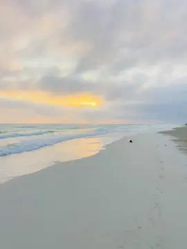 #هاني_بوسويطيه_🐺🔥 #مطروح_وهلها🔥💪😎 #سعد_بورجعه #شعر_شعبي_ليبي #القصر #مرسي_مطروح #بدومصر #tktok 